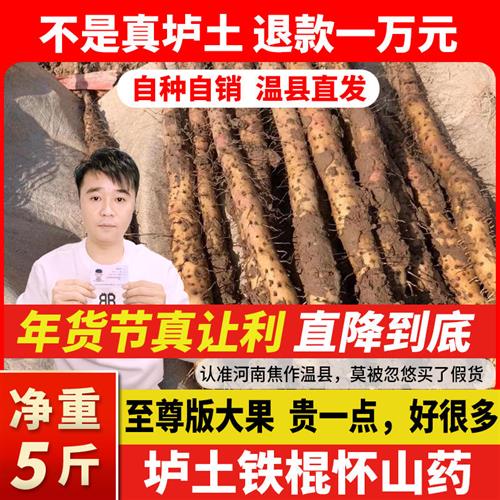 河南焦作温县正宗5斤垆土农家铁棍山药新鲜淮山怀山原产地直发