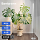 Barrina佰利纳全光谱落地侧发光植物补光灯仿太阳防眩热植生长灯
