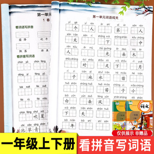 看拼音写词语一年级上册下册全套2册部编人教版小学语文同步训练练习册生字注音拼音拼读组词造句专项训练强化练习题天天练教材书