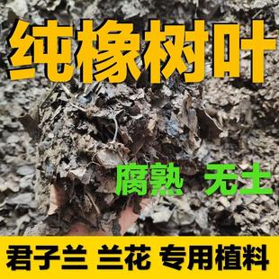 发酵纯橡树叶腐殖土腐叶土兰花君子兰专用橡叶种植营养土肥料包邮