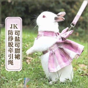 兔子衣服牵引夏天溜小兔子穿爱TJV的绳防脱可侏儒兔专挣用宠物户