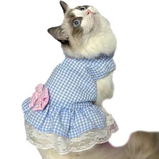 猫咪衣服公主蕾丝裙春秋装薄款宠物可爱布偶蓝猫小幼猫夏季防掉毛