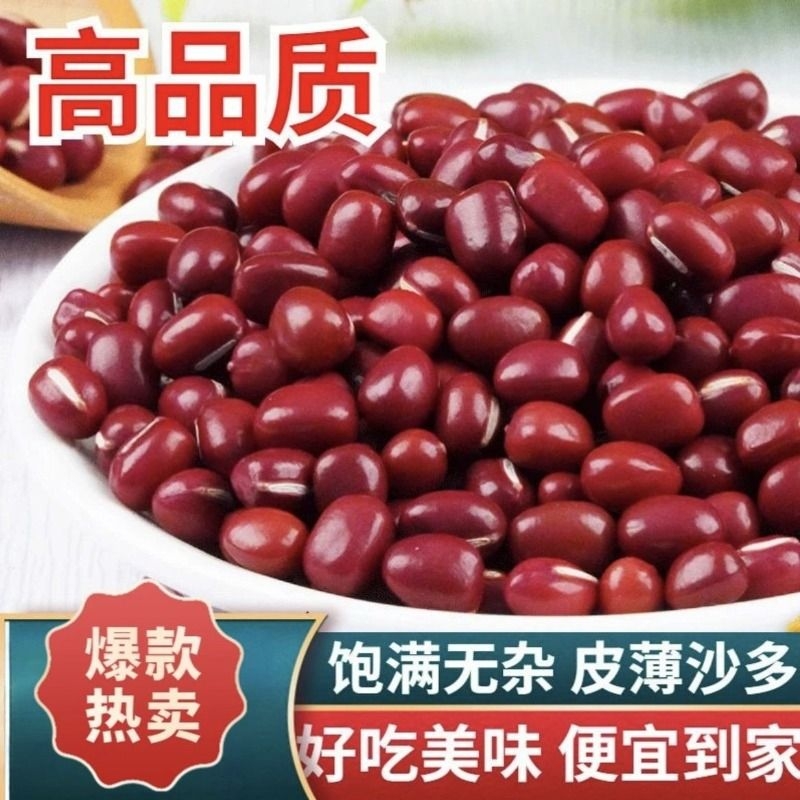 红豆新货上市东北农家新红小豆精选品