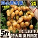 顺丰广东鸡心黄皮果新鲜水果黄弹子黄皮水果当季现摘孕妇整箱包邮