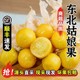 【顺丰送货上门】香甜东北黄金姑娘果灯笼果现摘黄洋菇娘特产新鲜