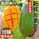 正宗云南大青芒新鲜当季热带青皮芒果现货水果现摘时令10斤大芒果
