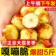 陕西大荔冬枣新鲜现摘当季应季水果整箱包邮大枣子脆甜枣1-5斤装