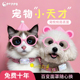 宠悦悦宠物GPS定位器防丢器智能项圈猫狗寻找防水运动监测追踪器