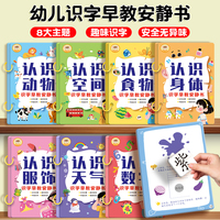 幼儿识字早教魔术贴安静书宝宝益智玩具