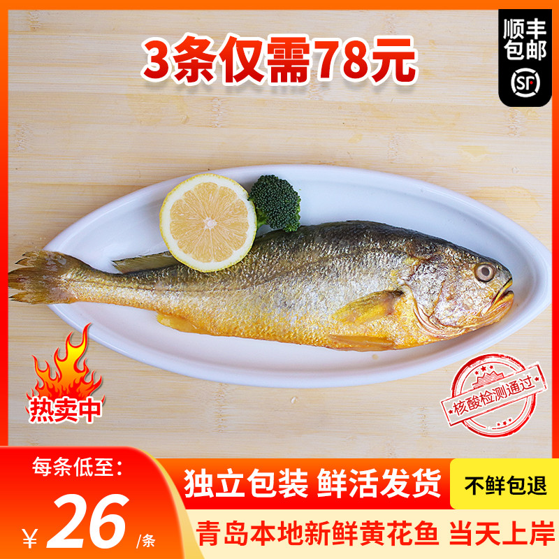 野生大黄花鱼新鲜海鲜海鱼冷冻水产深海鱼鲜活大黄鱼3斤特大包邮在类目 水产肉类/新鲜蔬果/熟食, 海鲜/水产品/制品, 海鲜鱼类, 黄鱼中 - 来自Buy2taobao.com提供专业的淘宝代购服务
