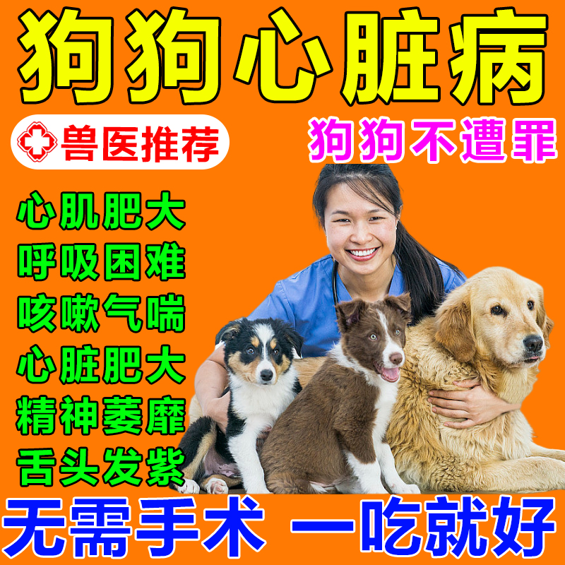 狗狗心脏肥大药咳嗽气喘呼吸困难心脏