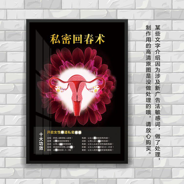 私密回春术功效挂画 月子妇产科医院墙装饰画生殖美容保养所壁画
