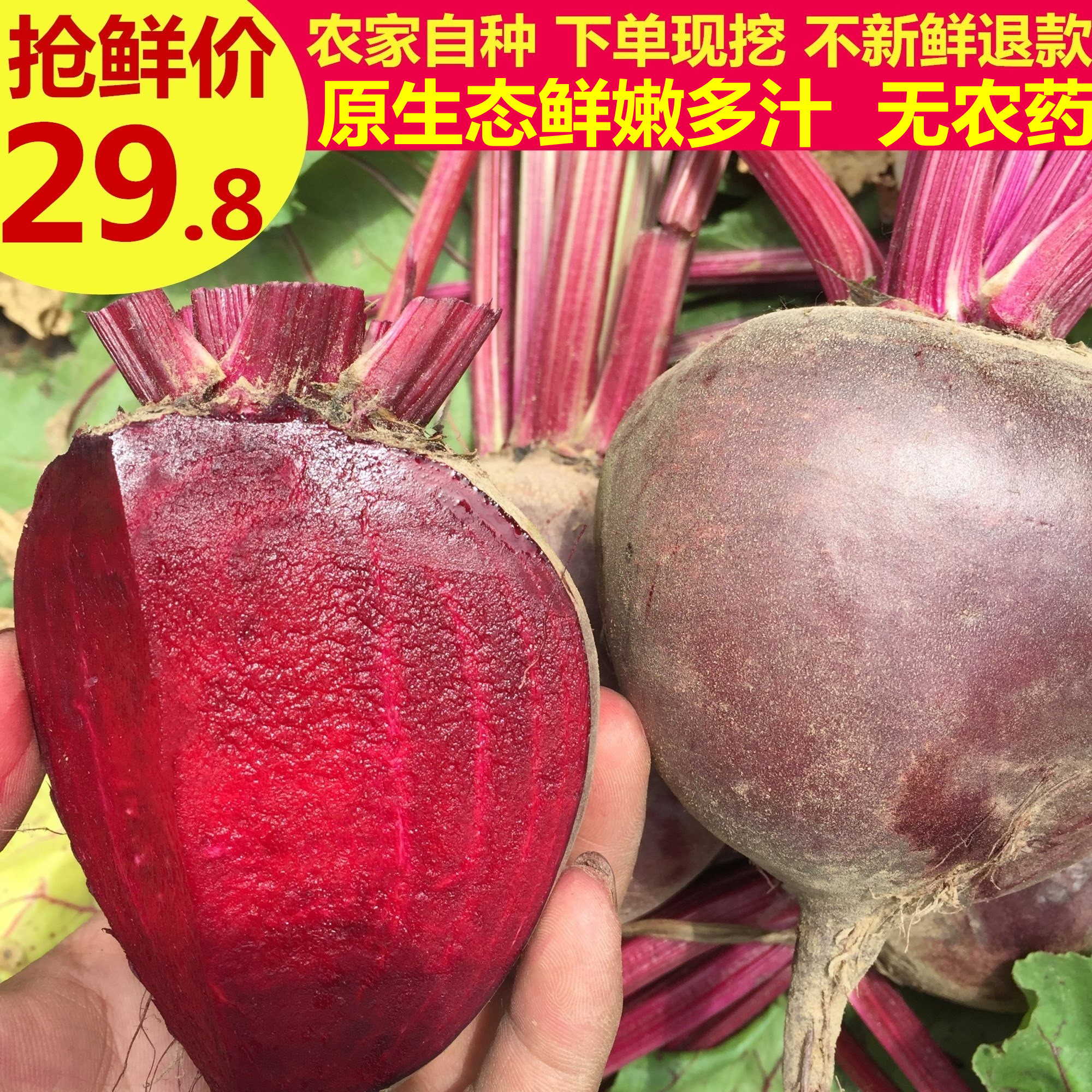 出口品质新鲜甜菜根紫菜头酵素红菜头农产品甜菜头甜菜苷特惠9斤