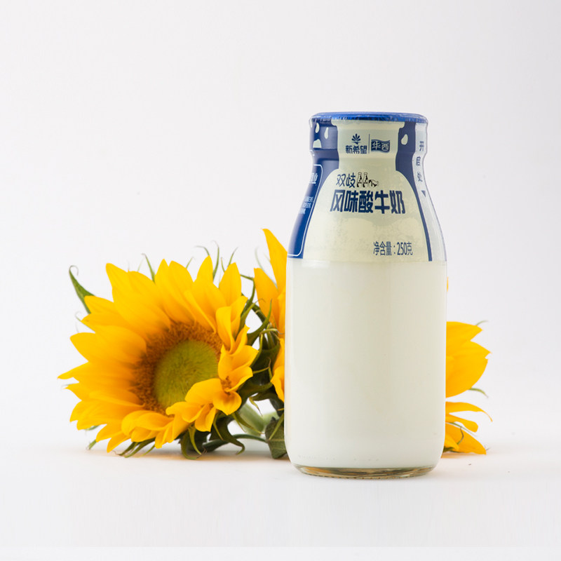 新希望华西风味营养低温酸奶 双歧酸牛奶250g 限成都订奶