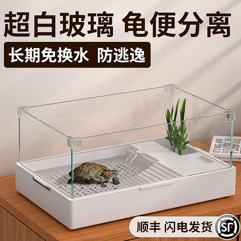 最简单生态龟缸 懒人图片
