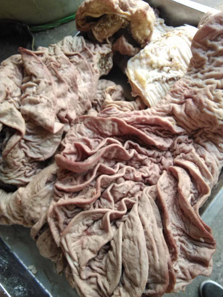 清真新鲜 牛散带 牛下水 全熟下水 全熟牛杂 去油下水 无油下货