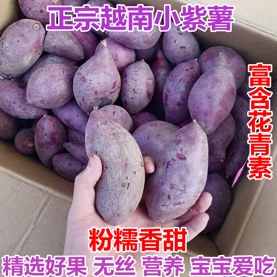 越南紫薯小个沙地紫薯新鲜蒸煮紫心红薯5斤板栗薯红薯