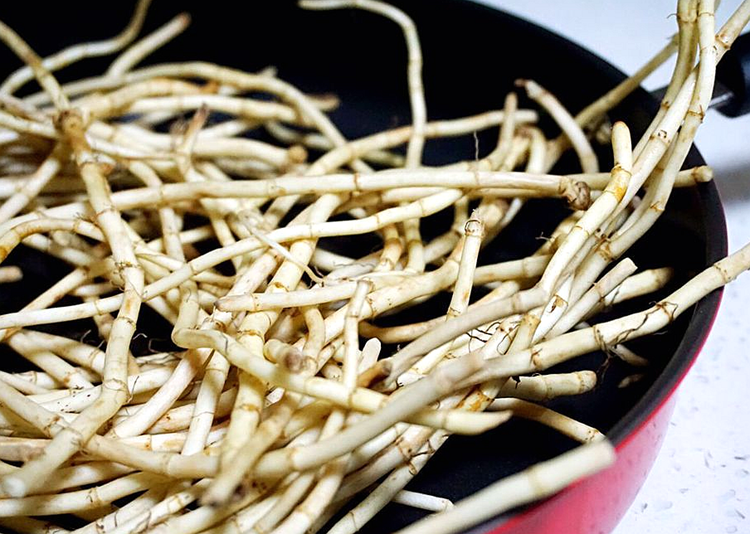 新鲜鱼腥草嫩折耳根