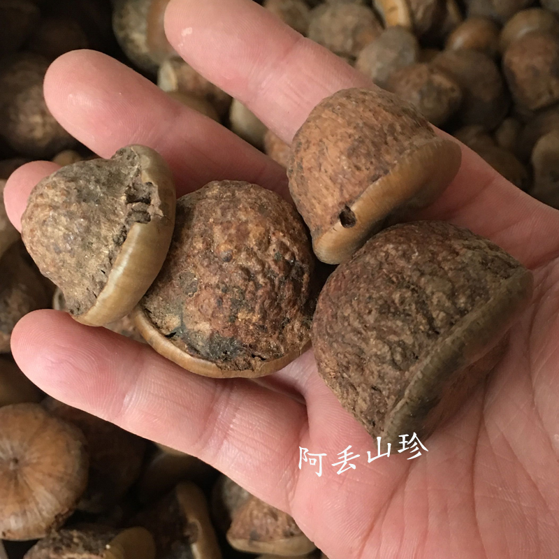 广西金秀 食用农产品 捻碇果 厚鳞石栎 木栎子 大头椎 250g 新品