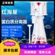 红海星蛋分RS海水珊瑚缸底滤蛋白质分离器变频DC化氮器SQ50/70/90