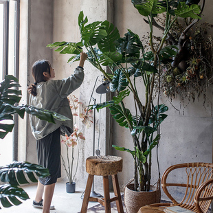 掬涵大型仿真绿植北欧风室内植物盆栽龟背竹旅人蕉装饰摆件假绿植