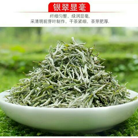 2024新茶保康绿茶保康春茶明前毛尖特级好茶500g高山云雾香浓耐泡