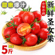 新鲜圣女果5斤现摘番茄樱桃小西红柿孕妇水果生吃蔬菜千禧小番茄