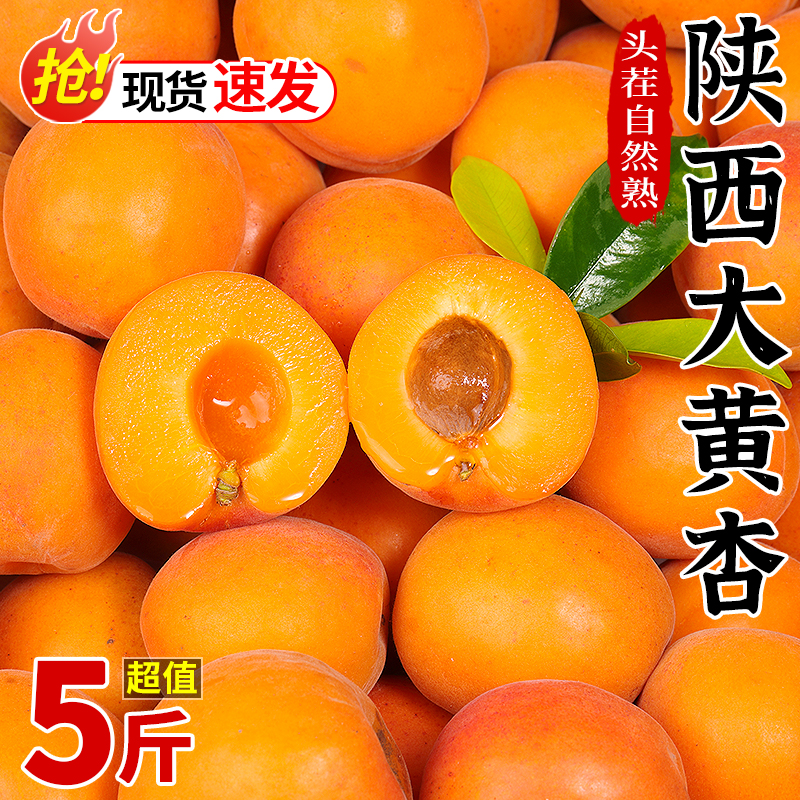 陕西大黄杏子新鲜水果5斤当季现摘酸