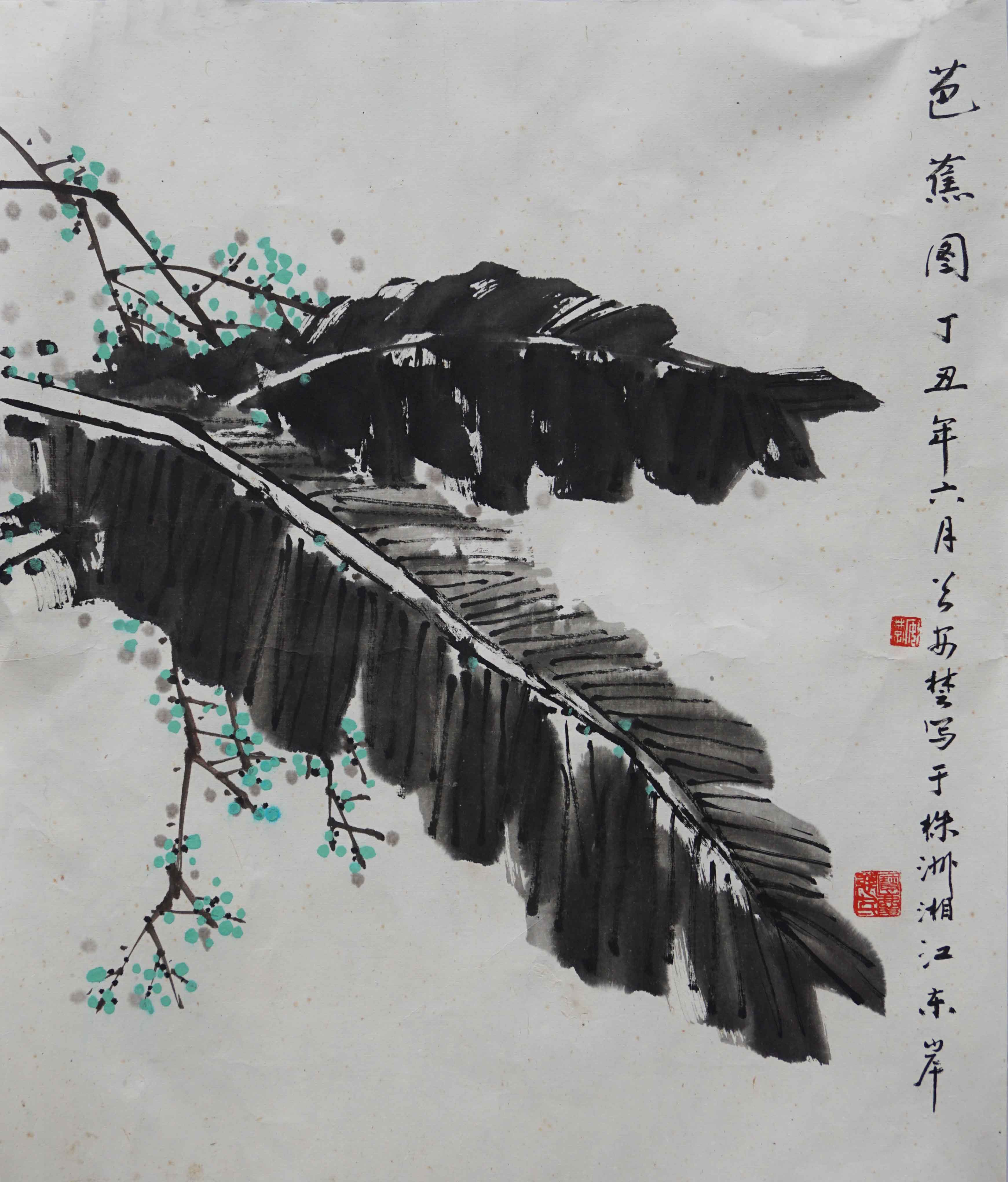 已故国画大师 曾安楚《芭蕉图》49.5*60cm