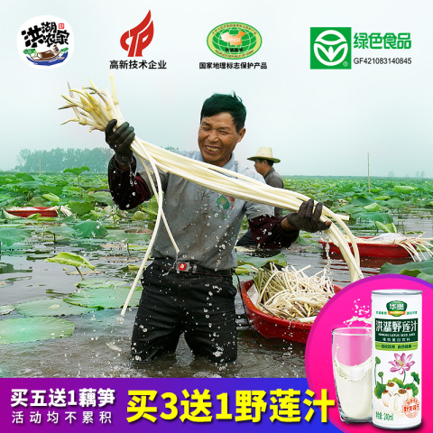 洪湖农家泡藕带湖北特产洪湖泡椒藕带酸辣新鲜藕尖下饭菜酸菜泡菜