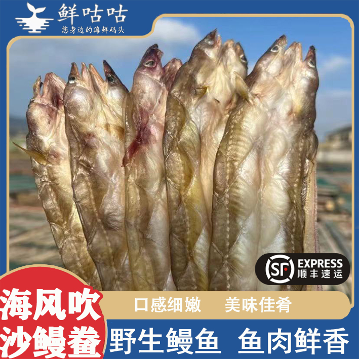 沙鳗干整条鳗鱼干油鳗鲞七星鳗鱼宁波舟山海鲜水产干货特产淡晒食