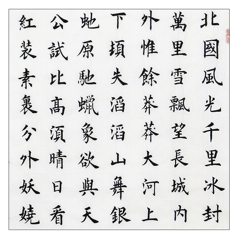 宋建安《沁园春雪》 河北省书法家协会会员