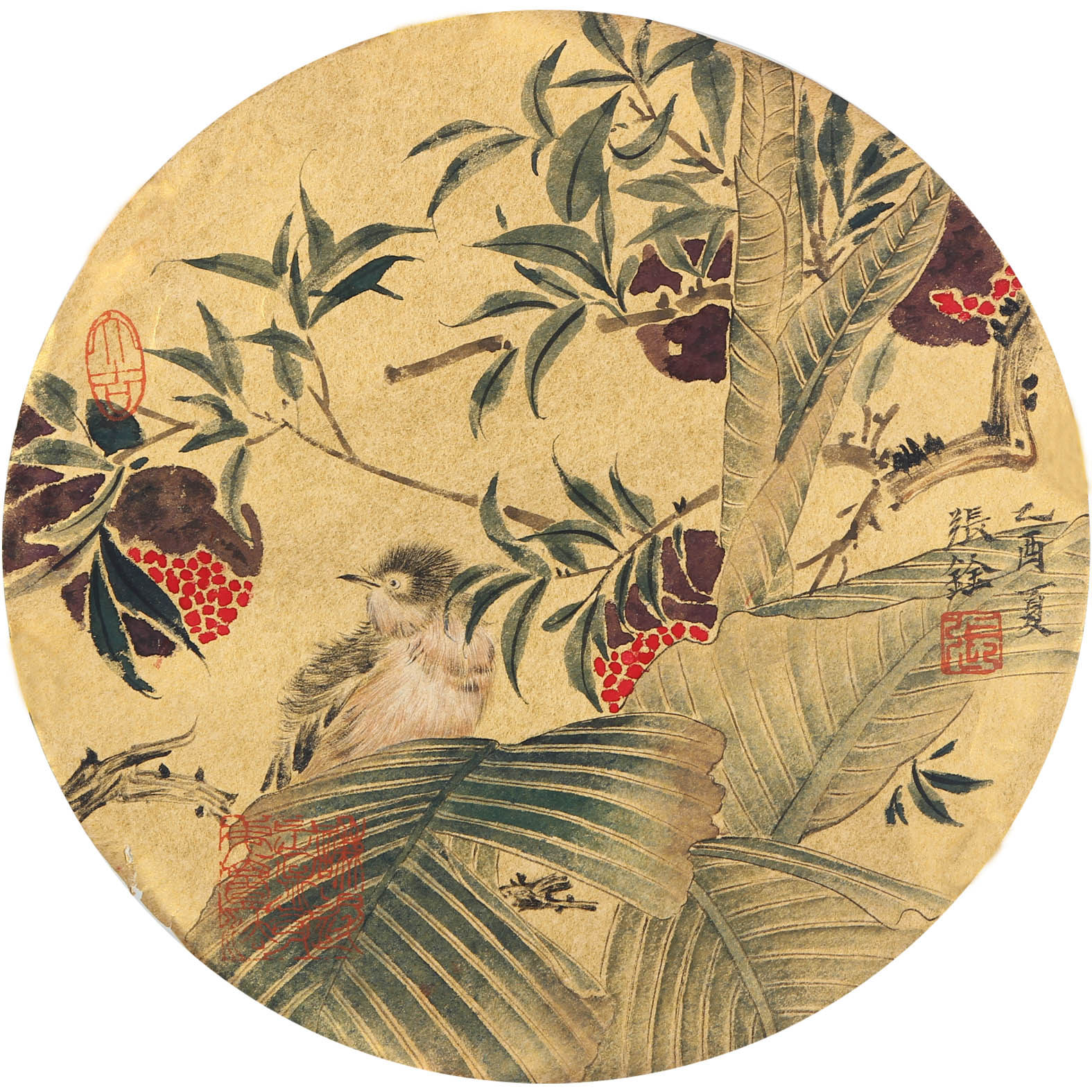 张铨《花鸟四圆片》中国美院