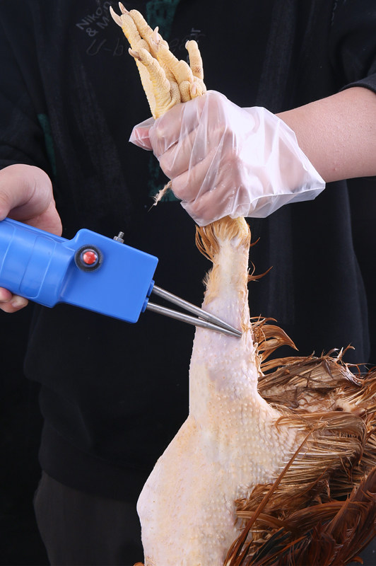 充电电动杀鸡鸭鹅拔毛神器手持家禽拔毛机自动脱毛机商用(去比价)分类