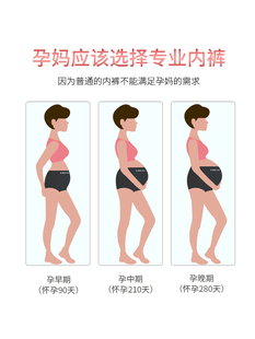 孕妇内裤女纯棉夏季薄款孕中晚期怀孕期高腰托腹初期大码短裤内穿