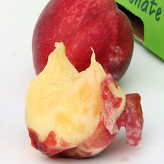 【鲜易达】新鲜水果天津当日达澳大利亚澳洲进口水蜜桃1个装应季