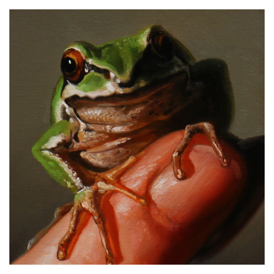 马西玲《蛙》油画|原作|孤品|新锐青年画家