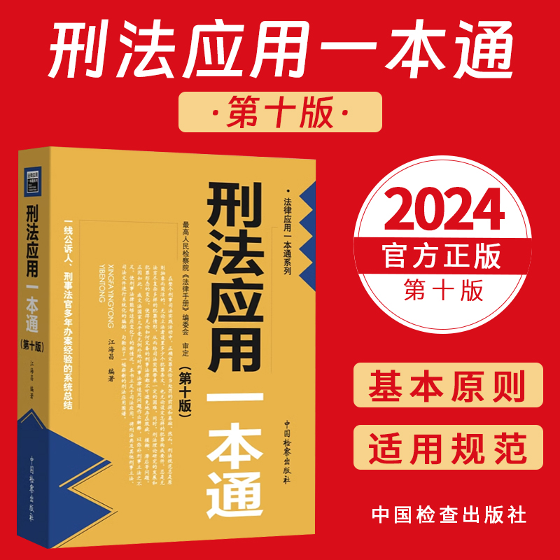 2024新 刑法应用一本通第十版第