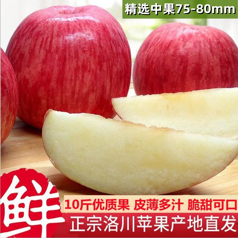 【主播推荐】陕西洛川红富士苹果一级