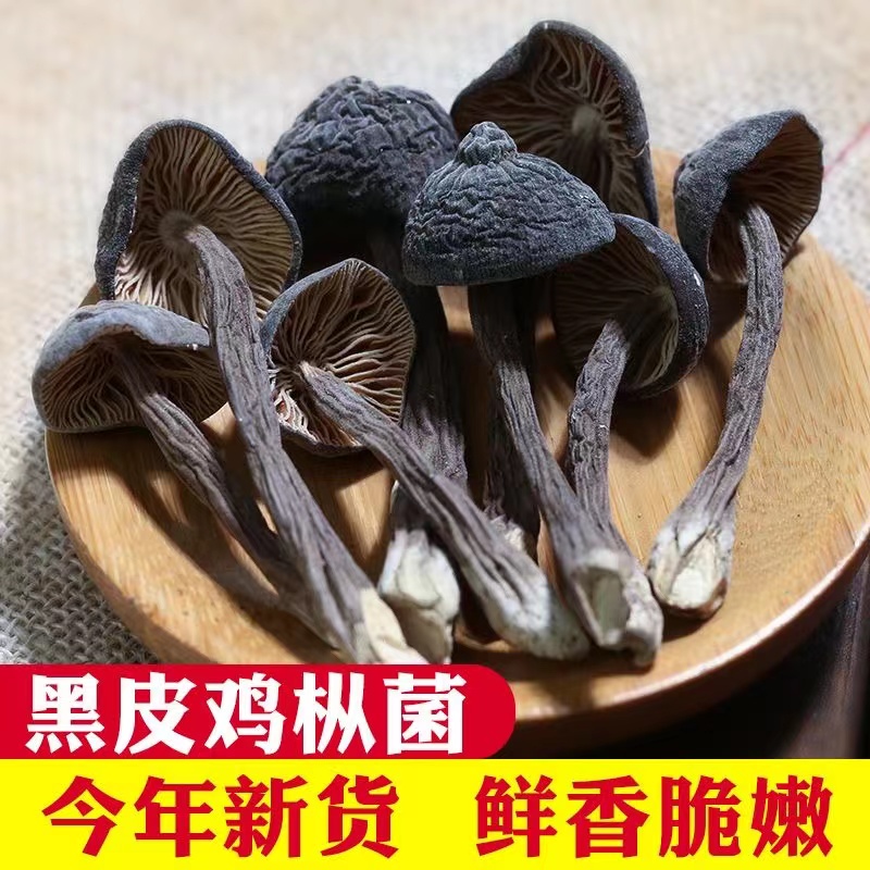 黑皮鸡枞菌干货500g新货云南特产