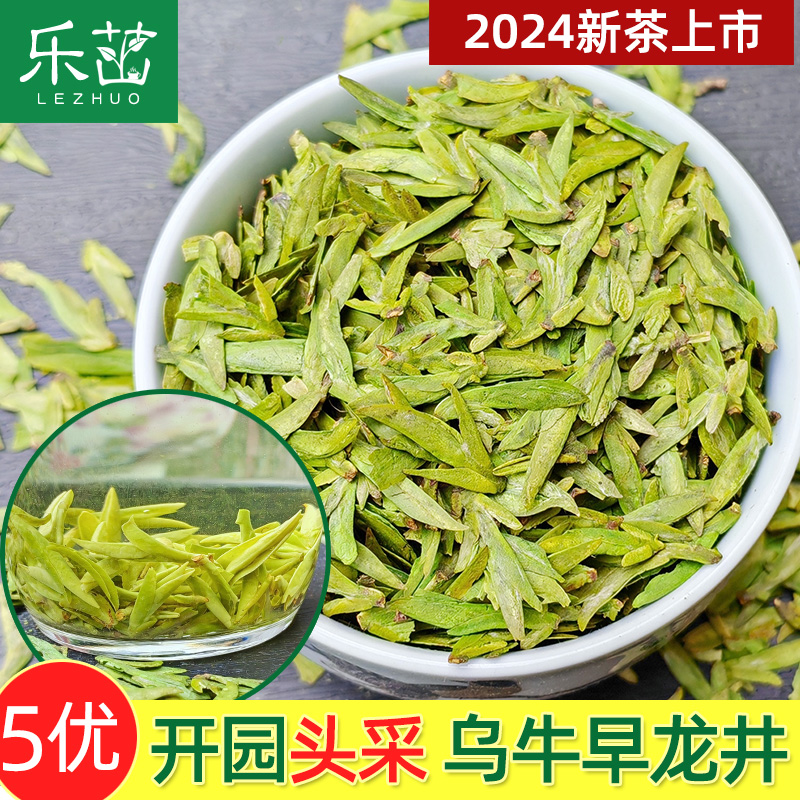 乐茁乌牛早龙型茶-开园头采5优-2024年新茶明前特小芽级高山绿茶
