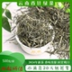 云南松针绿茶2025年新茶浓香型春尖毛峰茶叶明前茶高山云雾茶散装