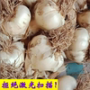 食道人间20头辫子蒜三把 大蒜 拒绝激光扫描 新鲜蔬菜|ru 食道人间20头辫子蒜三把 大蒜 拒绝激光扫描 新鲜蔬菜|ru