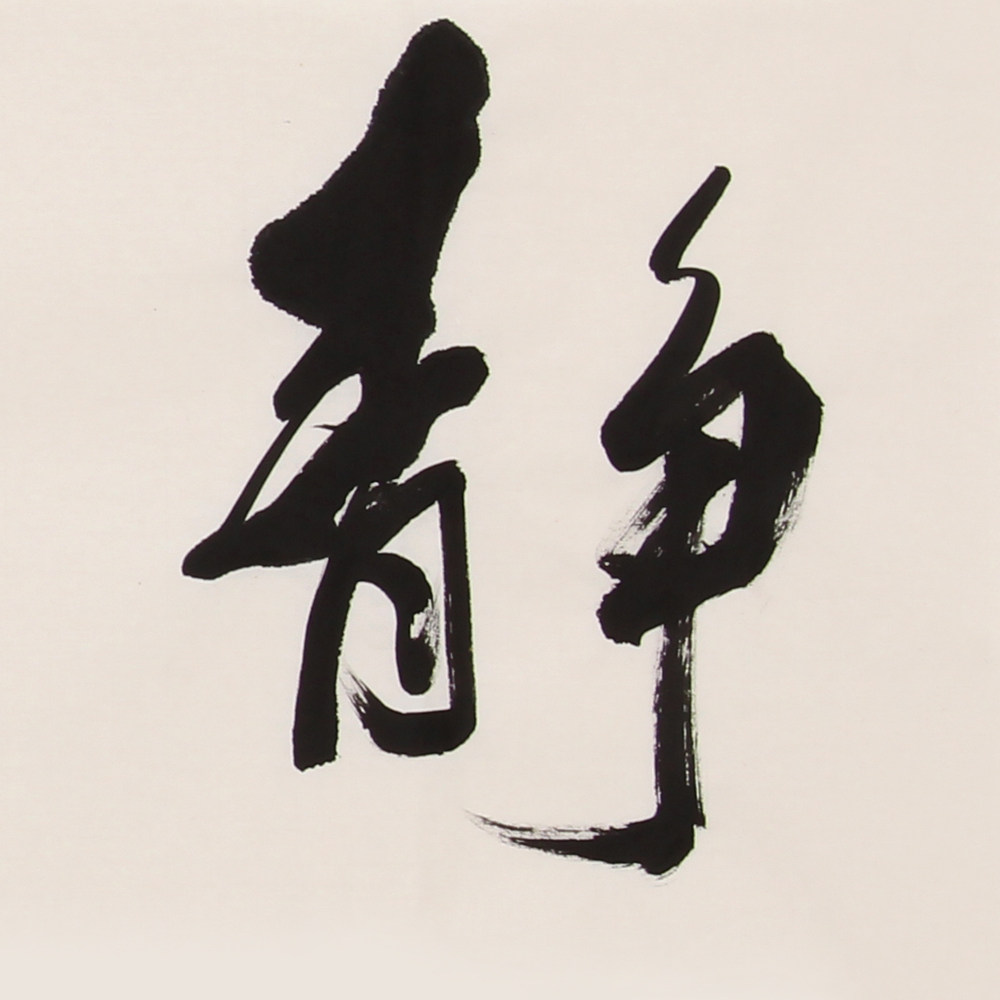 李亚凯《精品书法系列 静水流深》 中书协会员