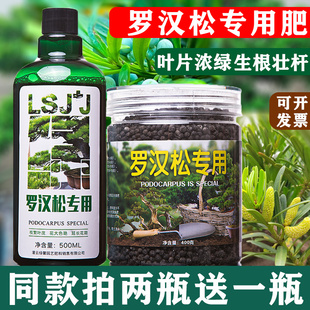 罗汉松专用营养液家用大型植物营养液专用室内肥料预防黄叶枯叶