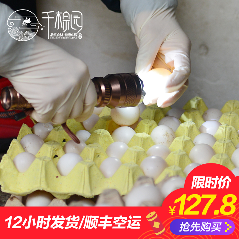 現貨鴿子蛋新鮮30枚裝包郵順豐農家散養寶寶天然輔食信鴿蛋白鴿蛋在類目 水產肉類/新鮮蔬果/熟食, 蛋/蛋製品, 鮮活蛋類, 鴿蛋中 - 來自Buy2taobao.com提供專業的淘寶代購服務