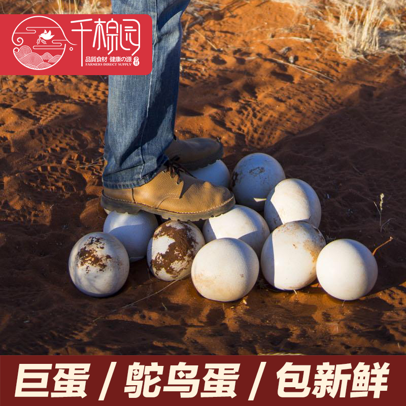 Ostrich Egg Shunfeng natural Precious gift fresh Ostrich egg Large Dinosaur Eggs Gifts Sharein the Aquatic meat/Fresh fruits and vegetables/Cooked , Egg/Egg Products , Fresh eggs , Other category - from Buy2taobao.com to provide professional Taobao agent buy service