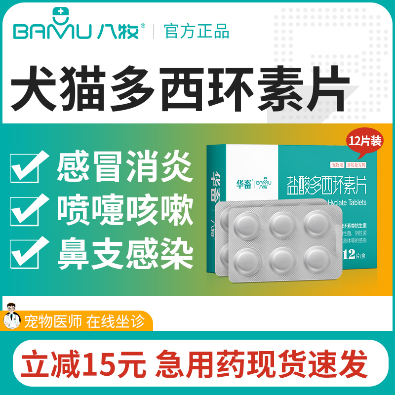 猫咪专用感冒药咳嗽打喷嚏流鼻涕猫鼻