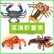 仿真海洋海底生物玩具动物模型 螃蟹 寄居蟹 龙虾儿童男女孩礼物