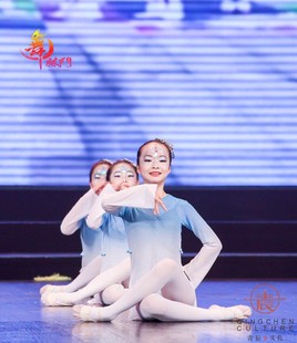 儿童古典舞演出服身韵服民族舞女童练功服中国舞考级舞蹈形体纱衣